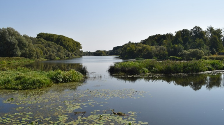 У Звягелі купатися можна, у Житомирі – ні: свіжі проби води
