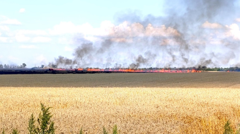 Поблизу Шевченкового горіло пшеничне поле після атаки російського БпЛА
