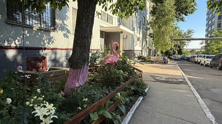Як без бюджетних коштів і дорогих підрядників навели лад: історія одного двору у Південноукраїнську