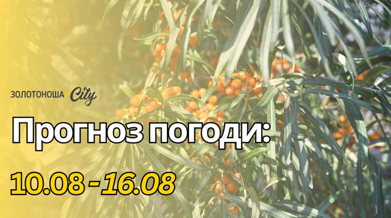 Спека відступила, а посуха посилюється