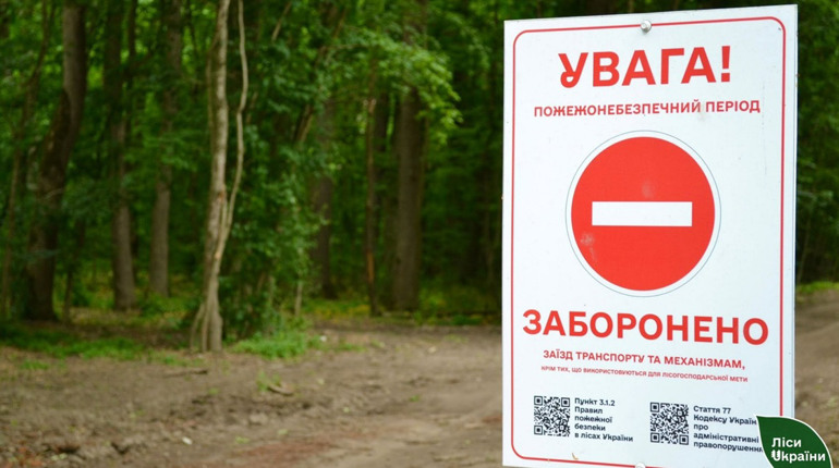 На Черкащині оштрафували 7 порушників пожежної безпеки у лісах: за серпень уже 48 рейдів