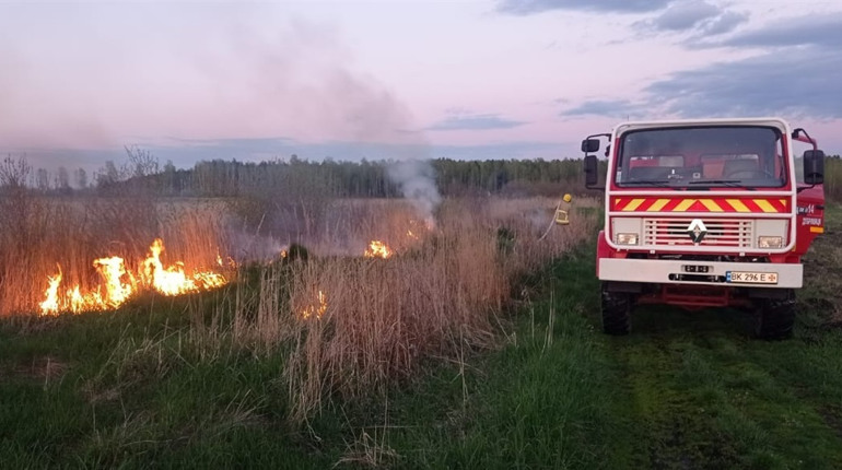 У Сарненському районі зайнялася суха трава: пожежу ліквідували