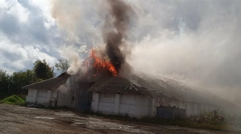 Волфино знову опинилося під ворожими обстрілами