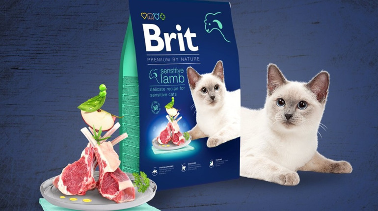 Корм для собак Brit: що пропонує чеський виробник