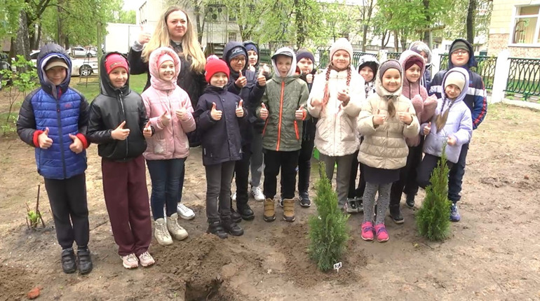 «Подаруй дерево школі»: учні та вчителі школи №13 висадили біля навчального закладу туї