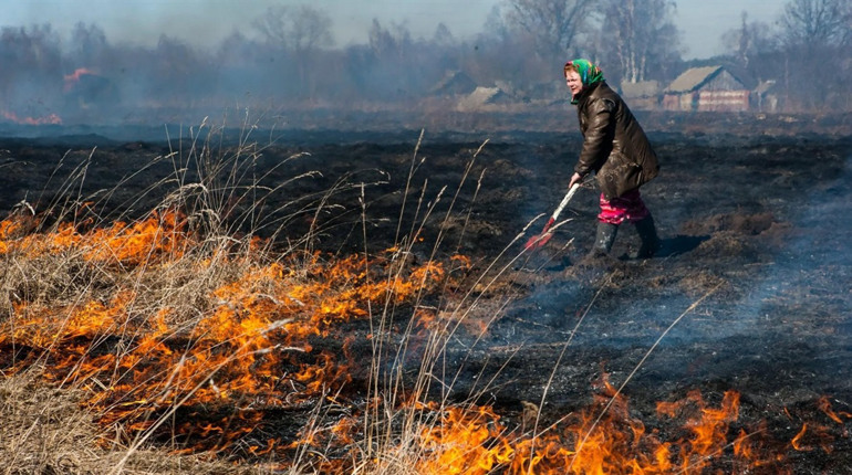 Не підпалювати суху рослинність закликають рятувальники жителів Глухівщини