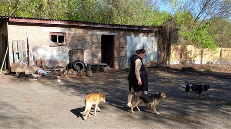 У Конотопі з'явиться центр перетримки та адопції безпритульних тварин. Потрібна ваша допомога