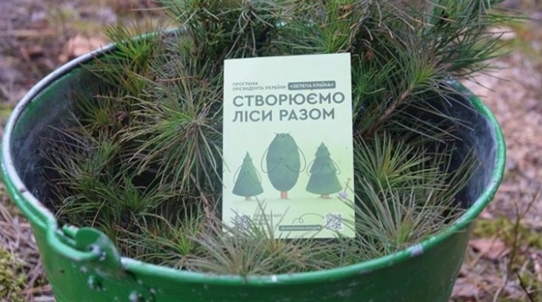 На Луганщині в приватну власність хотіли передати 112 га землі, призначеної для відновлення лісів