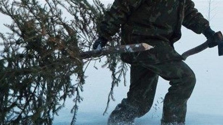 Шосткинський агролісгосп посилисть охорону лісів