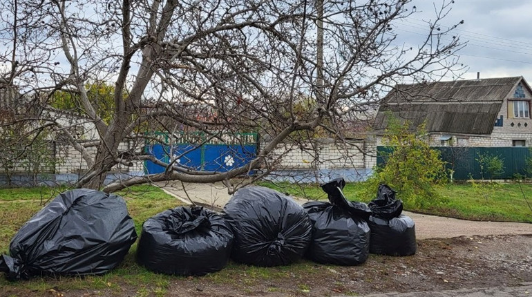 Чому в Южноукраїнській ТГ з Костянтинівки не вивозять опале листя?