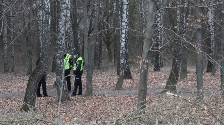 У лісосмузі в Городку знайшли тіло чоловіка