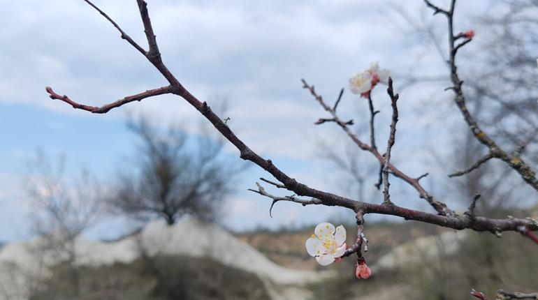 Останній квітневий приморозок, потепління і дощі: погода в Первомайську у середині квітня