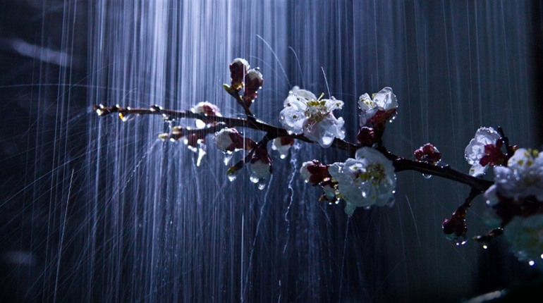 На вихідних трохи дощитиме. 19-20 квітня синоптики Сумщини прогнозують нічні заморозки