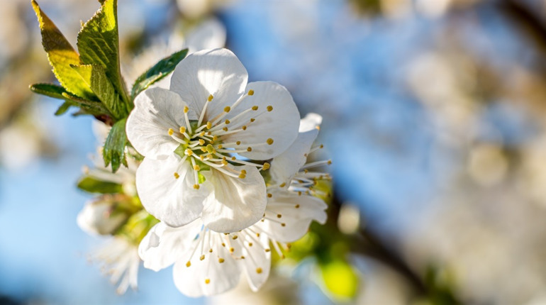 Гороскоп на тиждень з 20 по 26 квітня 2026 року: що зірки нам приготували