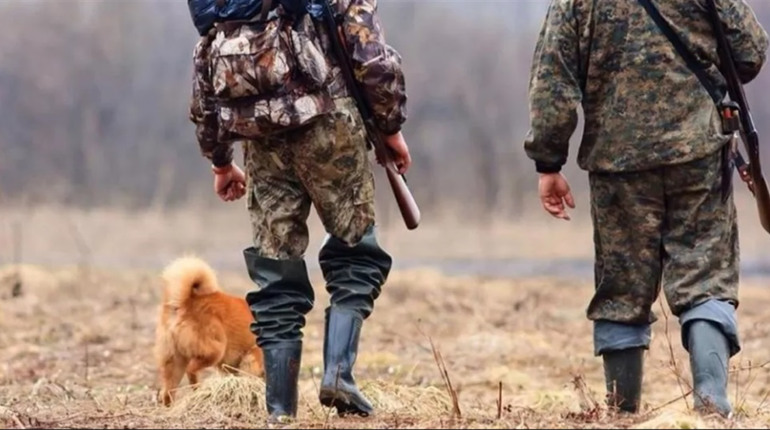 На Гадяччині під час війни заборонили полювання на тварин