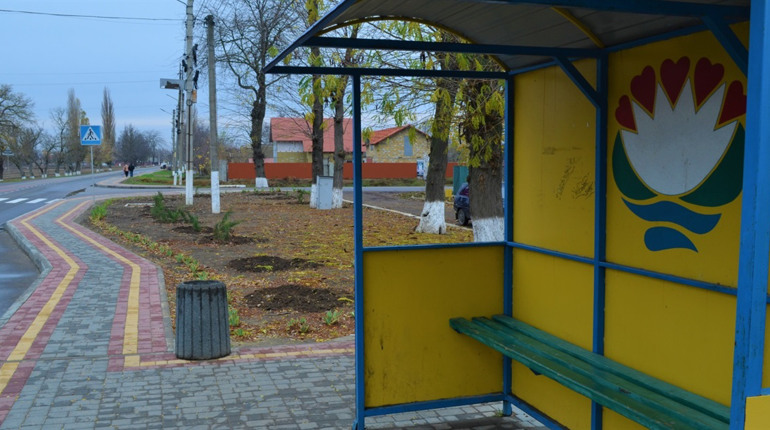 У Біляївці відновились крадіжки саджанців з міських квітників: комунальники закликають до сумління