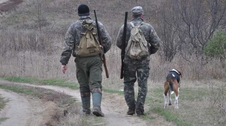 Чортківські чиновники попросили в області дозволу на відстріл лисиць у районі — через сказ