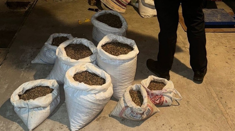 Майже пів тонни бурштину: трьох жителів Сарненського підозрюють в організації нелегального бізнесу