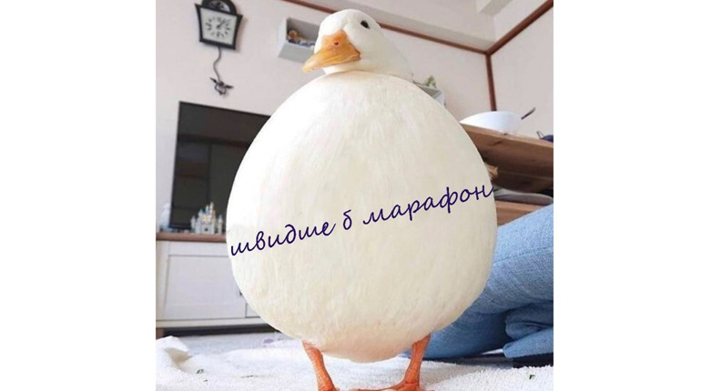 Я можу — саме час запускати марафон 