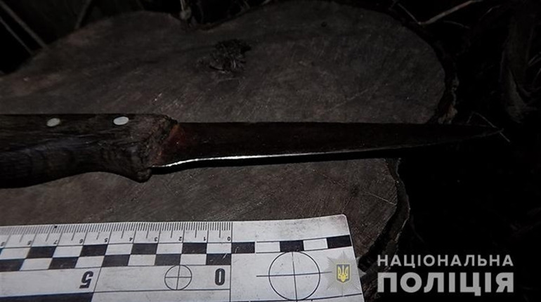 Мешканець Почаєва смертельно поранив грабіжника власного будинку