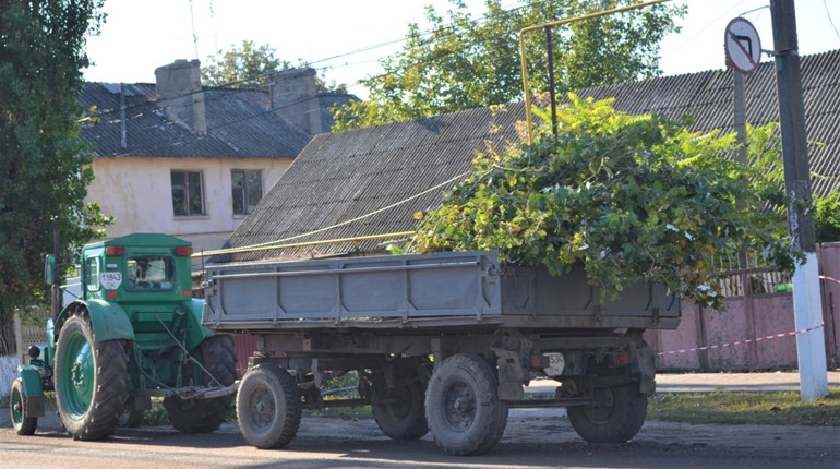 Чи їде до Біляївки Зеленський? Або чому в місті розчищають кущі і підрізають дерева