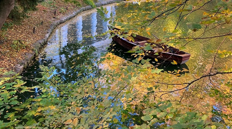 Що таке осіння депресія, та як її побороти. Чекліст з 10 ідей, які необхідно втілити восени