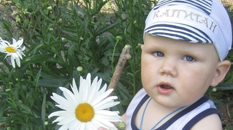 Коли працювати на городі та в садку в червні
