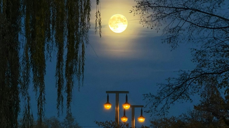 Де відключатимуть електроенергію селах Кагарлицької громади 30 та 31 березня