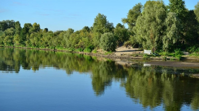 Річка Десна стає чистішою, але Сейм досі забруднений — Міндовкілля