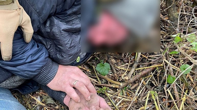 На Сумщині судитимуть двох мешканців Шосткинського району. Один з них планував диверсію