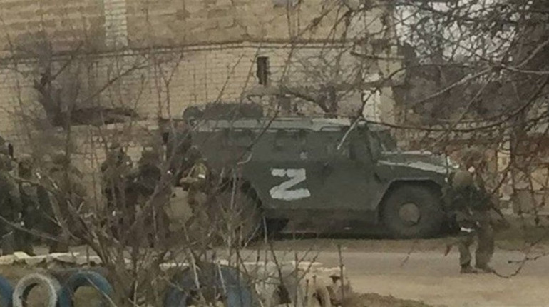 Елітне насіння розкидане полем