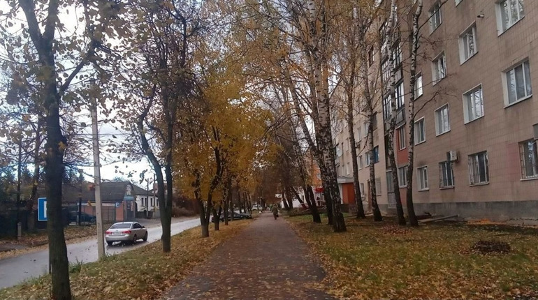 Дощі, сильний вітер, похолодання на кілька днів. Прогноз погоди у Гадячі на тиждень