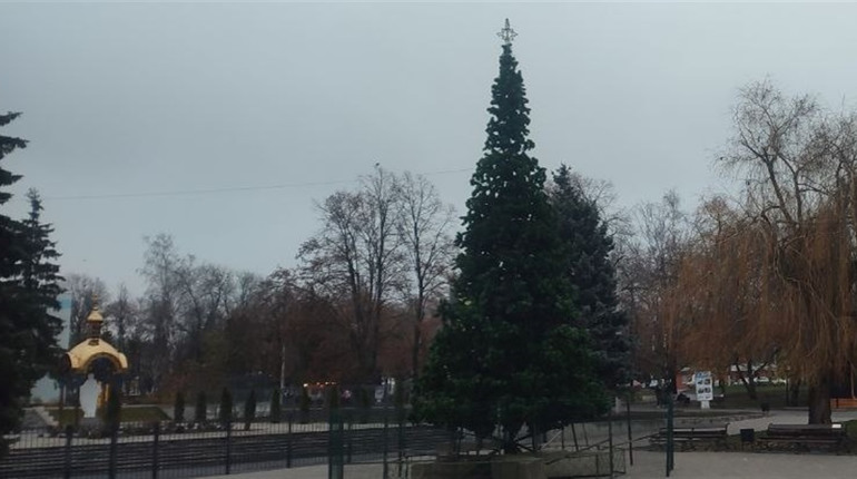 Головна ялинка Берестина знову у новій локації: триває монтаж святкової конструкції — коли відкриття