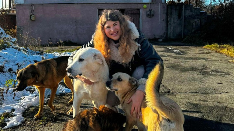 Врятувала життя 6 безпритульним песикам та 9 котикам: історія звягелянки Катерини Асташової