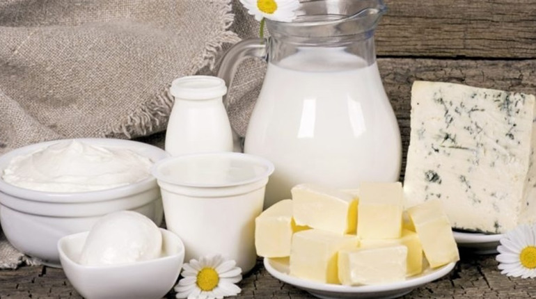 На Рівненщині є 19 виробників молокопродуктів, які працюють і на експорт: фальсифікату не виявлено