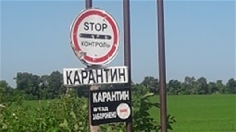 Горобівка закрита. Поширення вірусу припинено