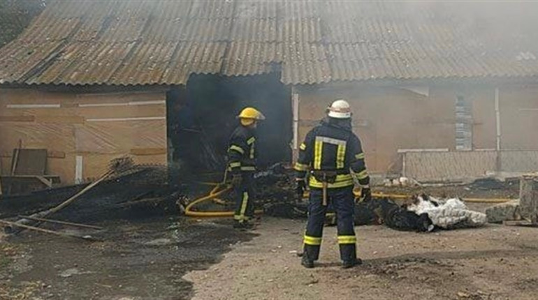 Загоревшийся мусор окутал дымом полквартала Мелитополя