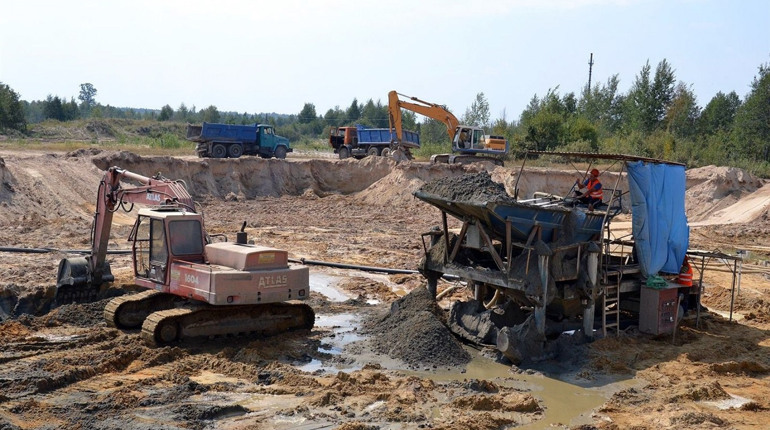«Сонячне ремесло», підприємство з видобутку бурштину, подало до суду на Володимирецький держлісгосп