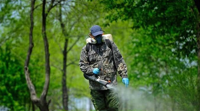 Хімічна обробка лісів Тростянецького району: що заборонено робити?