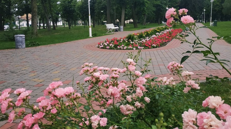 Прогноз погоди у Гадячі на тиждень: сухо та до +24°C
