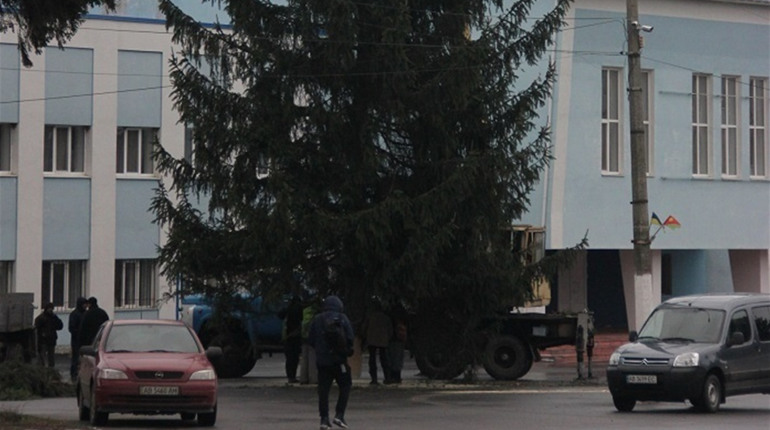 У Калинівці встановлюють новорічну ялинку