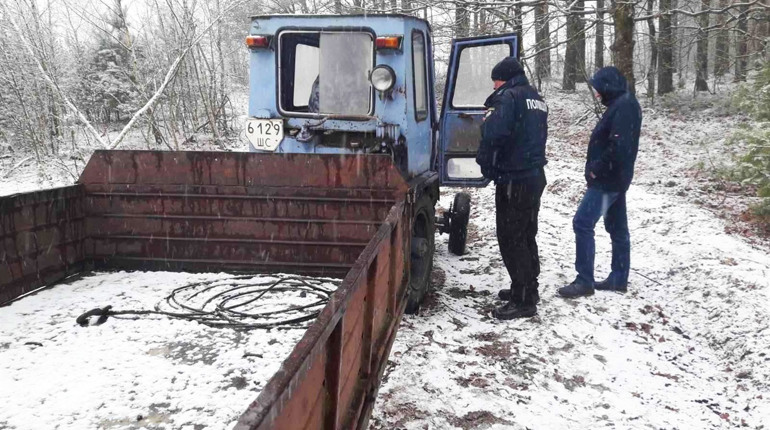 У Рафалівці «чорні лісоруби» зрізали дерев на 30 тисяч гривень
