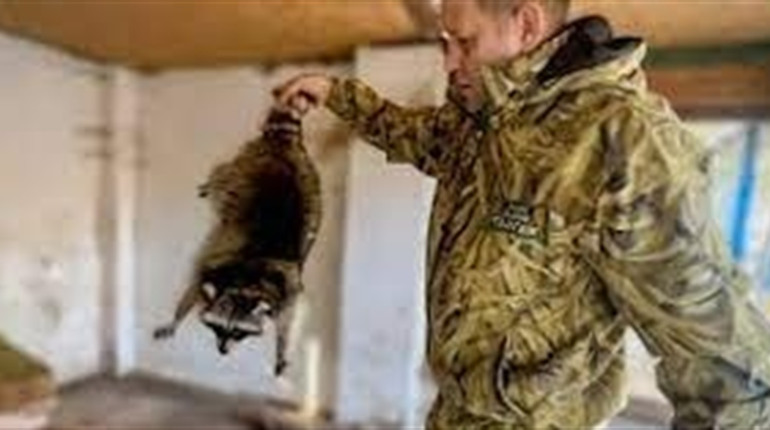 Викрадений херсонський єнот надихнув київського студента на унікальну розробку