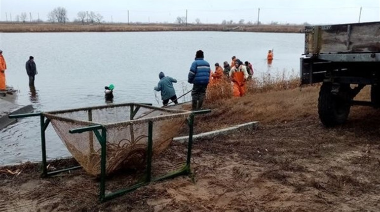 Новокаховський рибозавод відстояли