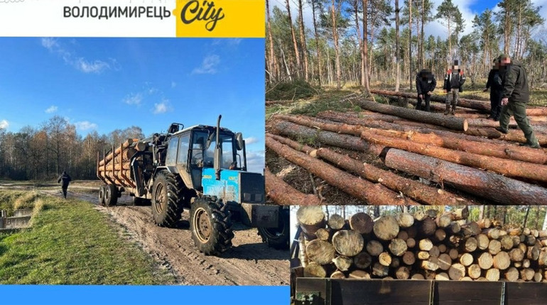 Прокуратура повідомила: 100 кубів незаконної деревини вилучено у Вараському районі