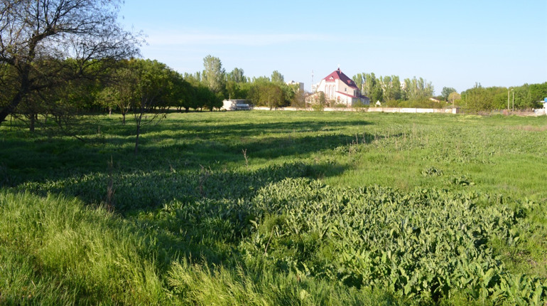 «Я не збираюсь і не збирався забудовувати Дубки»: підприємець розповів про хибні звинувачення