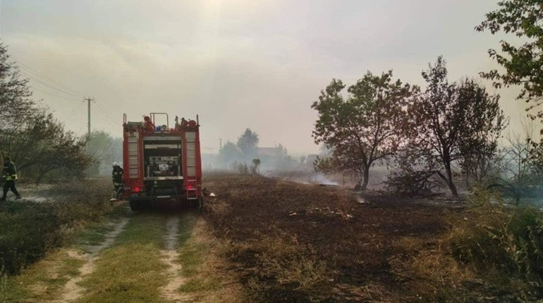 На Луганщині у трьох районах спалахнули пожежі, вогонь підібрався до житла: що про це відомо
