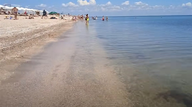 Чи є медузи в морі у Щасливцевому? Дивимось відео гостей курорту від червня 2021 року