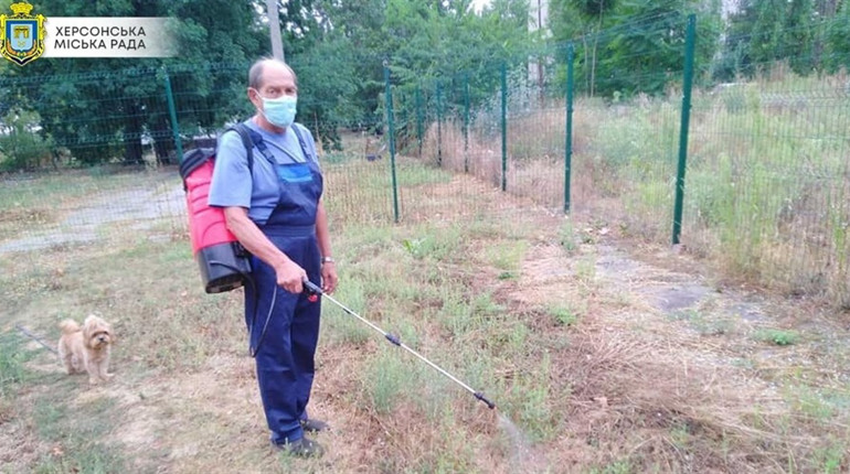 Амброзію у Херсоні знищують новим препаратом, а амброзію можна відслідкувати на інтерактивній мапі