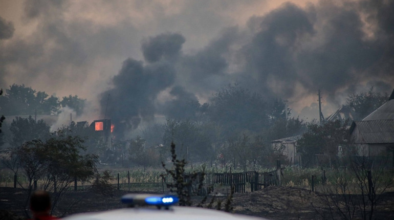 Масштабну пожежу у лісах Новоайдарського району ліквідовували сім днів: що про це відомо